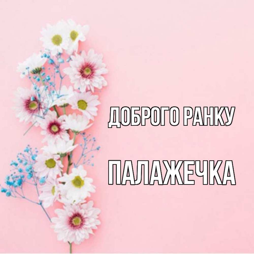 Открытка на каждый день з підписом, Палажечка Доброго ранку цветы с подписью Прикольна листівка з побажанням онлайн скачати безкоштовно 