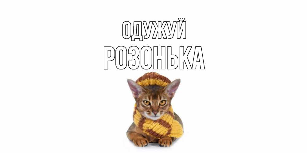 Открытка на каждый день з підписом, Розонька Одужуй родные не болейте Прикольна листівка з побажанням онлайн скачати безкоштовно 