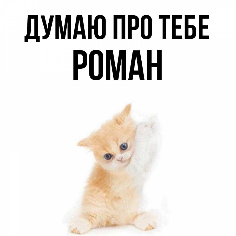 Открытка на каждый день з підписом, Роман Думаю про тебе зверушки и милота Прикольна листівка з побажанням онлайн скачати безкоштовно 
