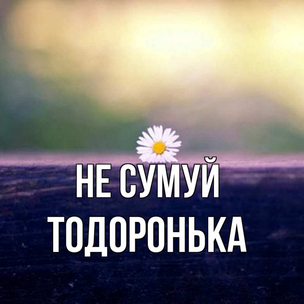 Открытка на каждый день з підписом, Тодоронька Не сумуй красота Прикольна листівка з побажанням онлайн скачати безкоштовно 