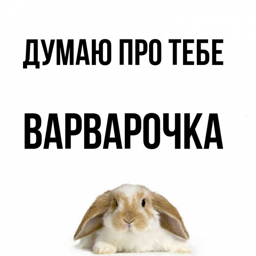 Открытка на каждый день з підписом, Варварочка Думаю про тебе подписать своими руками онлайн Прикольна листівка з побажанням онлайн скачати безкоштовно 