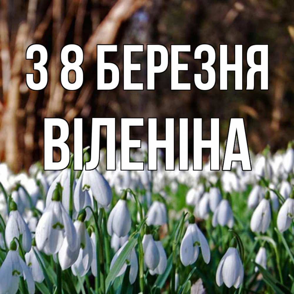 Открытка на каждый день з підписом, Віленіна З 8 БЕРЕЗНЯ с подснежниками 1 Прикольна листівка з побажанням онлайн скачати безкоштовно 