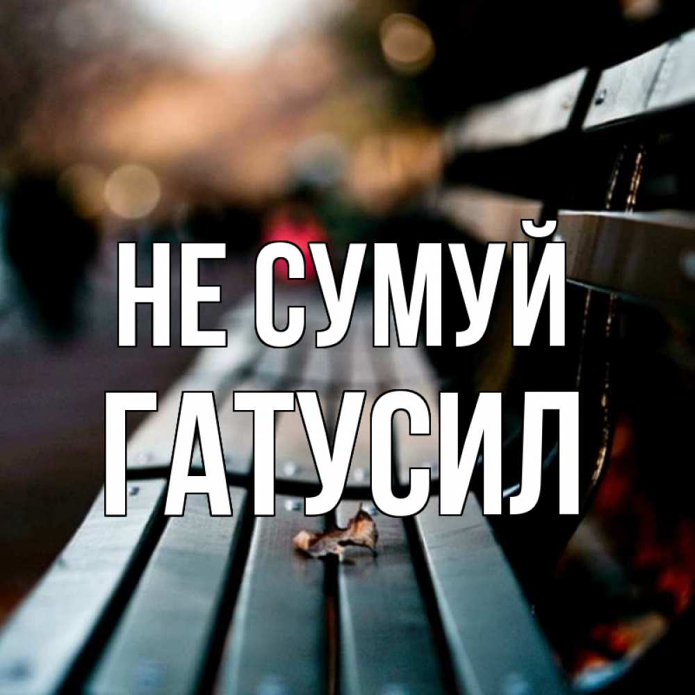 Открытка на каждый день з підписом, Гатусил Не сумуй размытый фон Прикольна листівка з побажанням онлайн скачати безкоштовно 