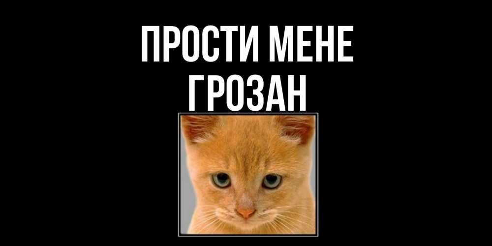 Открытка на каждый день з підписом, Грозан Прости мене рыжий грустный кот просит прощения Прикольна листівка з побажанням онлайн скачати безкоштовно 