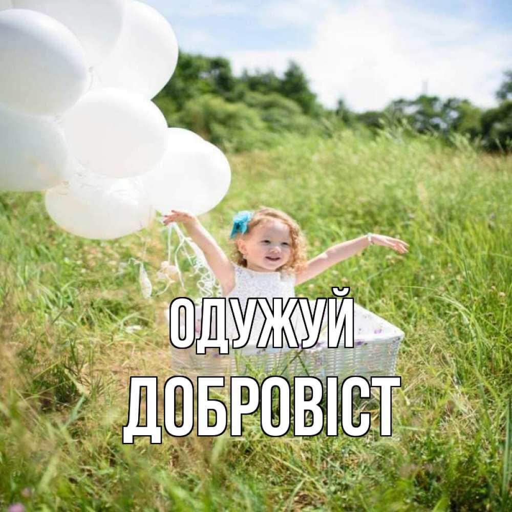 Открытка на каждый день з підписом, Добровіст Одужуй девочка сидит в корзине наверное от этого больной должен выздороветь Прикольна листівка з побажанням онлайн скачати безкоштовно 