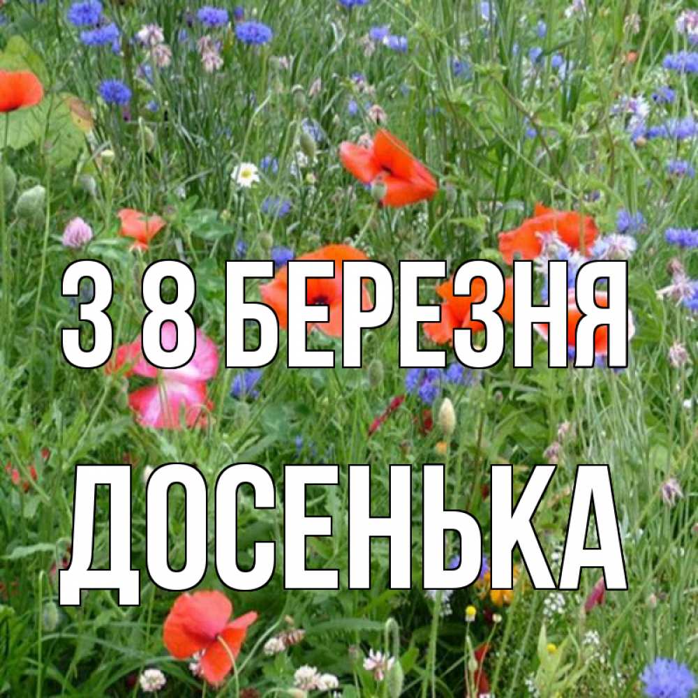 Открытка на каждый день з підписом, Досенька З 8 БЕРЕЗНЯ международный женский день 4 Прикольна листівка з побажанням онлайн скачати безкоштовно 