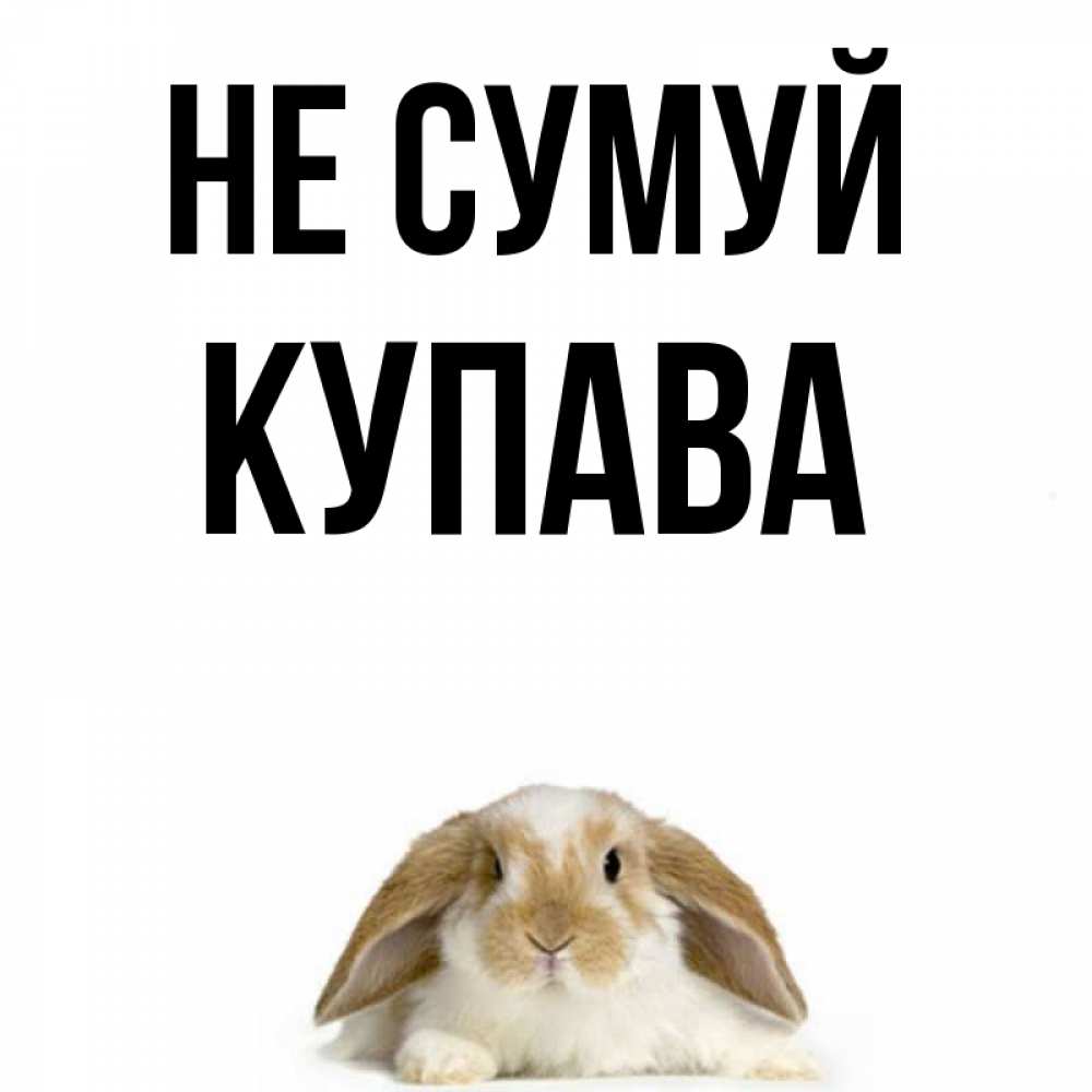 Открытка на каждый день з підписом, Купава Не сумуй коричнево белый заяц с большими ушками Прикольна листівка з побажанням онлайн скачати безкоштовно 