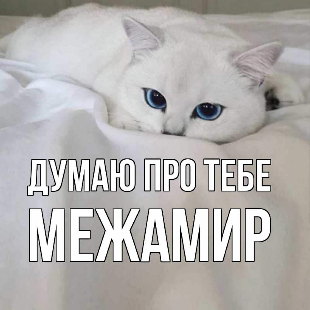 Открытка на каждый день з підписом, Межамир Думаю про тебе я очень по тебе скучаю и тоскую Прикольна листівка з побажанням онлайн скачати безкоштовно 