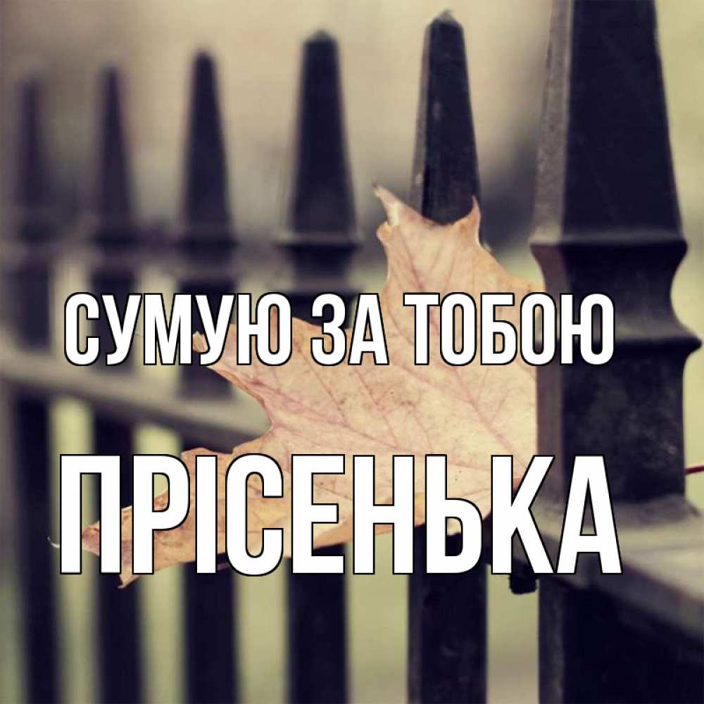 Открытка на каждый день з підписом, Прісенька Сумую за тобою очень скучно Прикольна листівка з побажанням онлайн скачати безкоштовно 