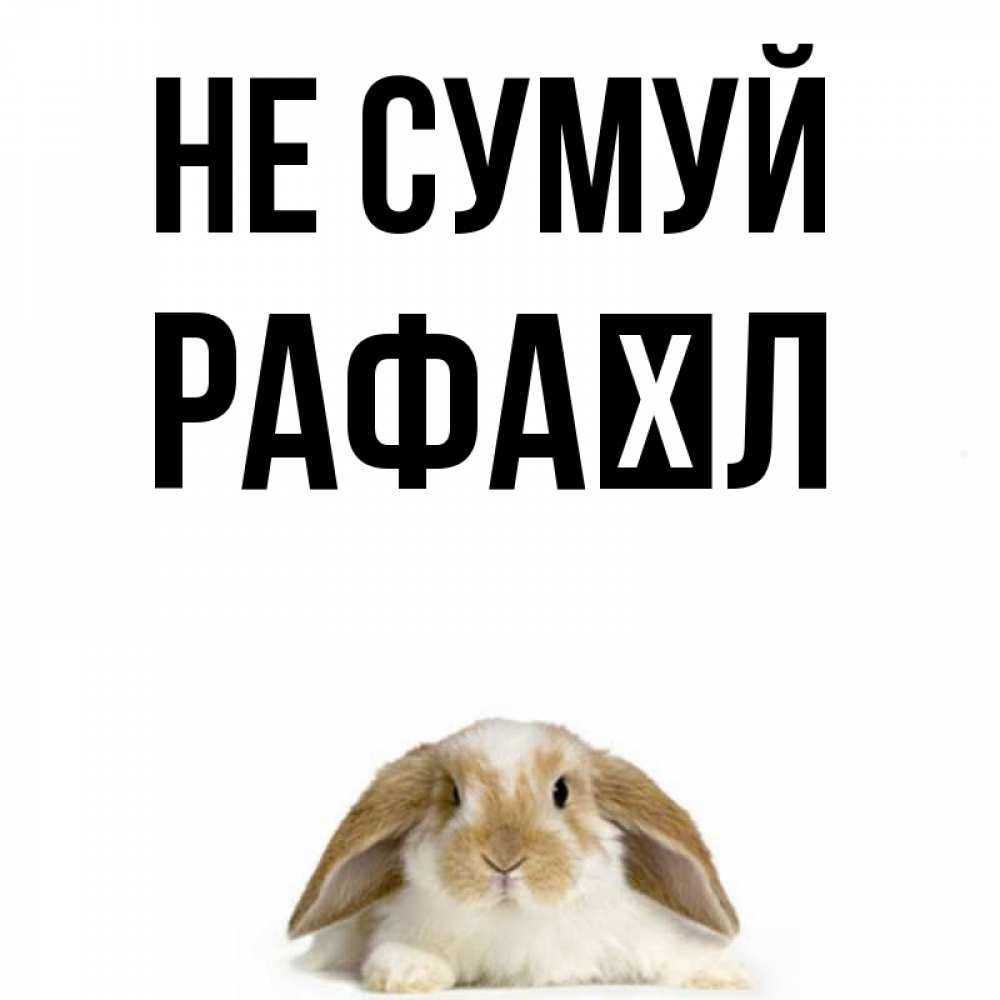 Открытка на каждый день з підписом, Рафаїл Не сумуй коричнево белый заяц с большими ушками Прикольна листівка з побажанням онлайн скачати безкоштовно 