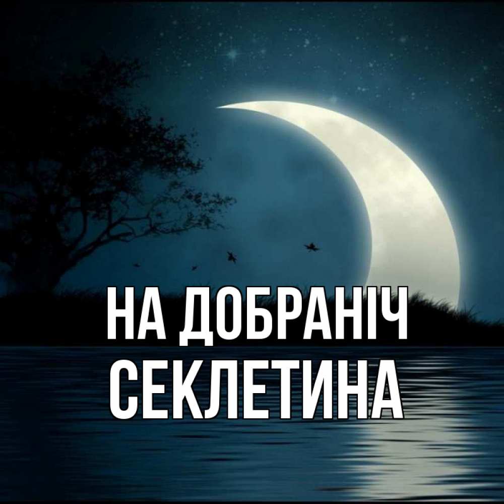Открытка на каждый день з підписом, Секлетина На добраніч вода Прикольна листівка з побажанням онлайн скачати безкоштовно 