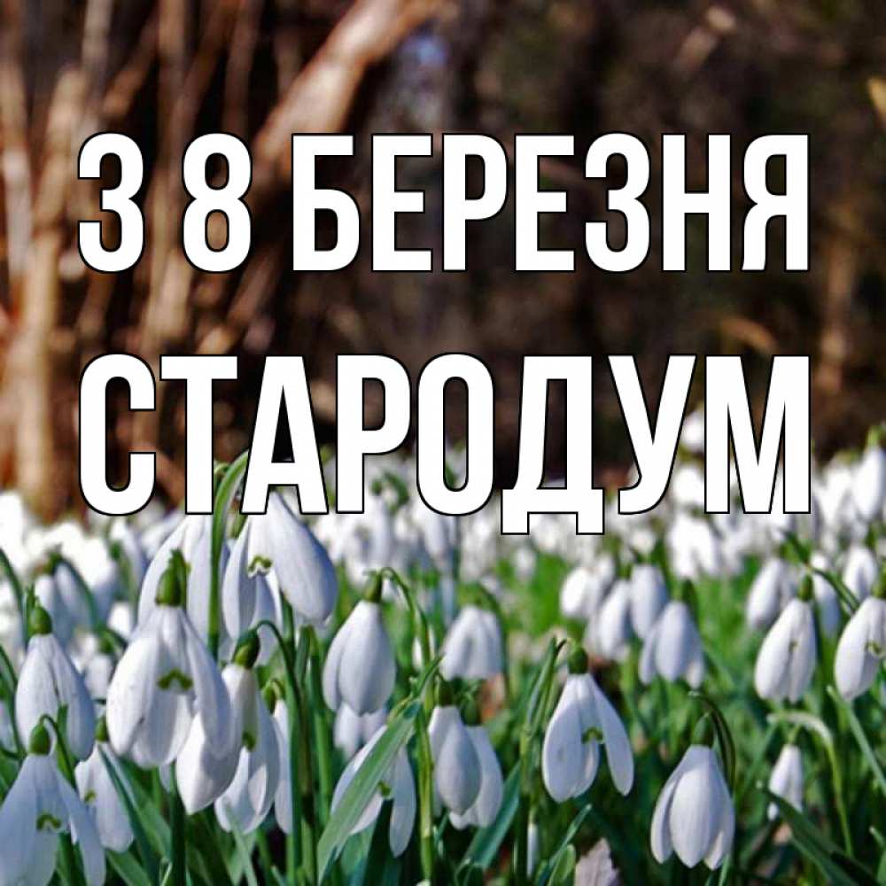 Открытка на каждый день з підписом, Стародум З 8 БЕРЕЗНЯ с подснежниками 1 Прикольна листівка з побажанням онлайн скачати безкоштовно 