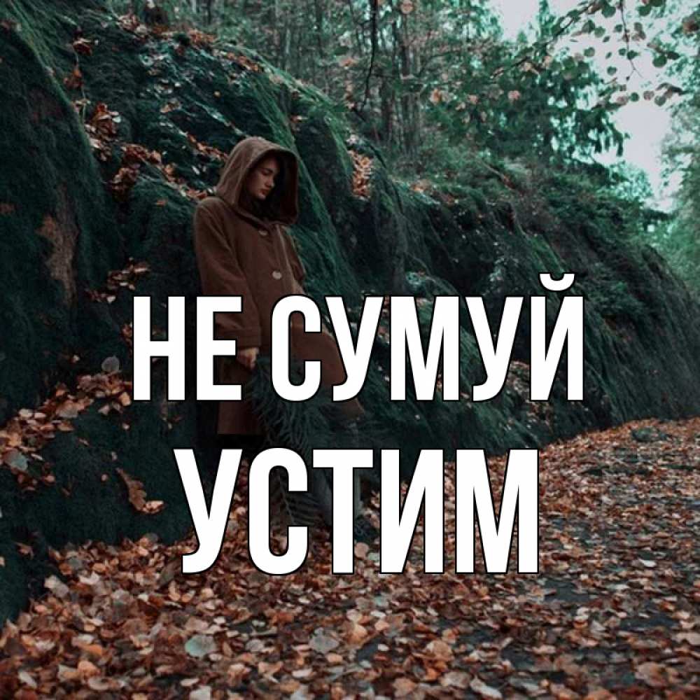 Открытка на каждый день з підписом, Устим Не сумуй осенний лес Прикольна листівка з побажанням онлайн скачати безкоштовно 