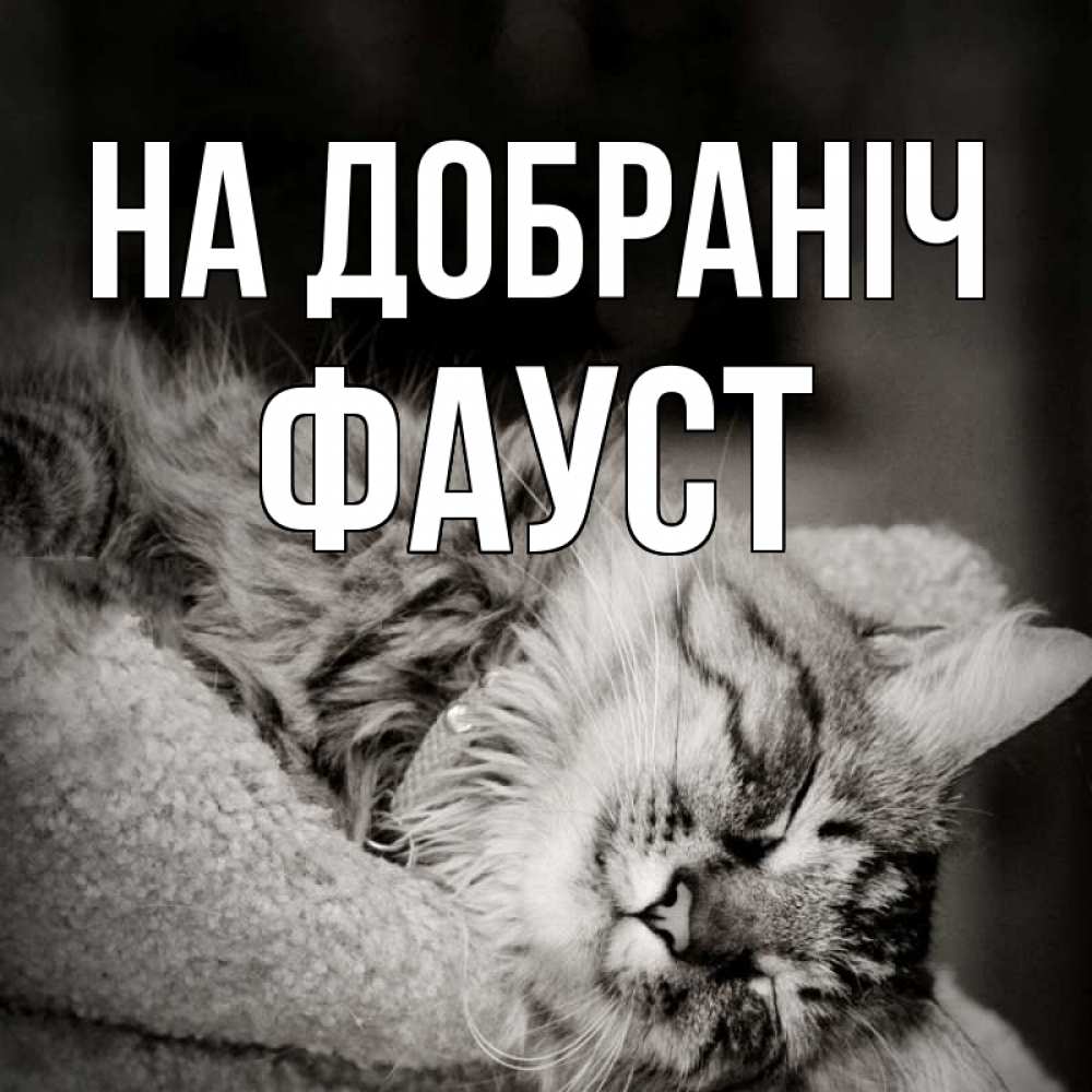 Открытка на каждый день з підписом, Фауст На добраніч котярик пушистый Прикольна листівка з побажанням онлайн скачати безкоштовно 