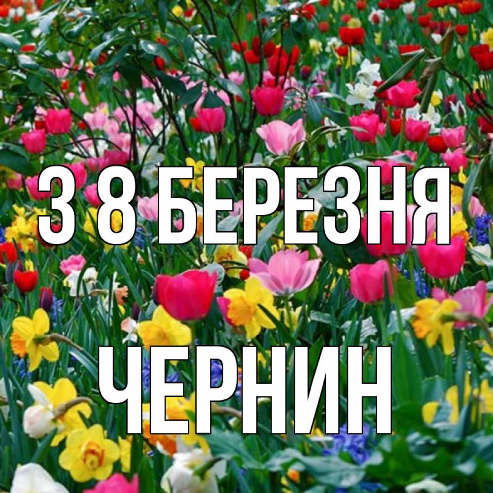 Открытка на каждый день з підписом, Чернин З 8 БЕРЕЗНЯ с международным женским днем поздравления для женщины Прикольна листівка з побажанням онлайн скачати безкоштовно 