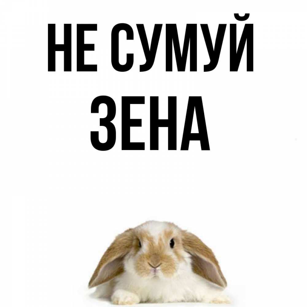 Открытка на каждый день з підписом, Зена Не сумуй коричнево белый заяц с большими ушками Прикольна листівка з побажанням онлайн скачати безкоштовно 