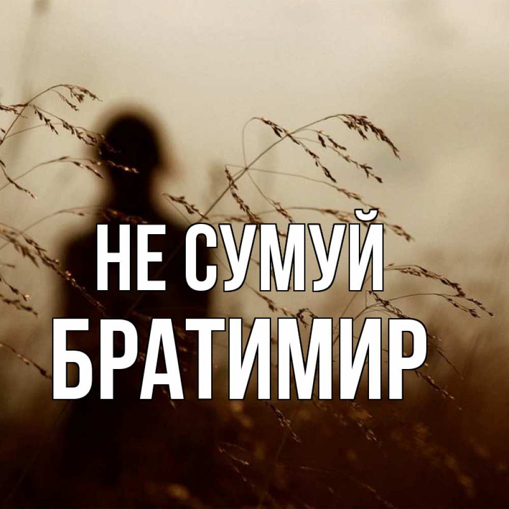 Открытка на каждый день з підписом, Братимир Не сумуй грусть Прикольна листівка з побажанням онлайн скачати безкоштовно 