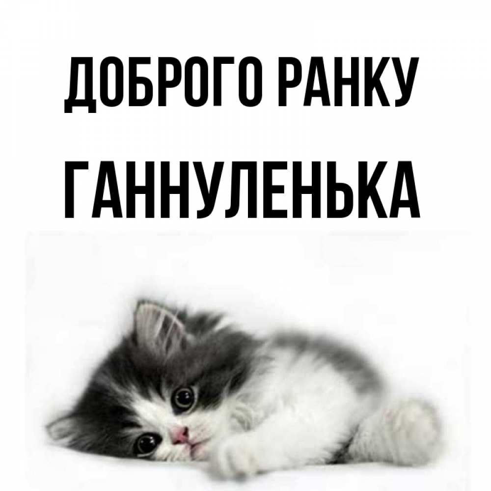 Открытка на каждый день з підписом, Ганнуленька Доброго ранку кот лапки Прикольна листівка з побажанням онлайн скачати безкоштовно 