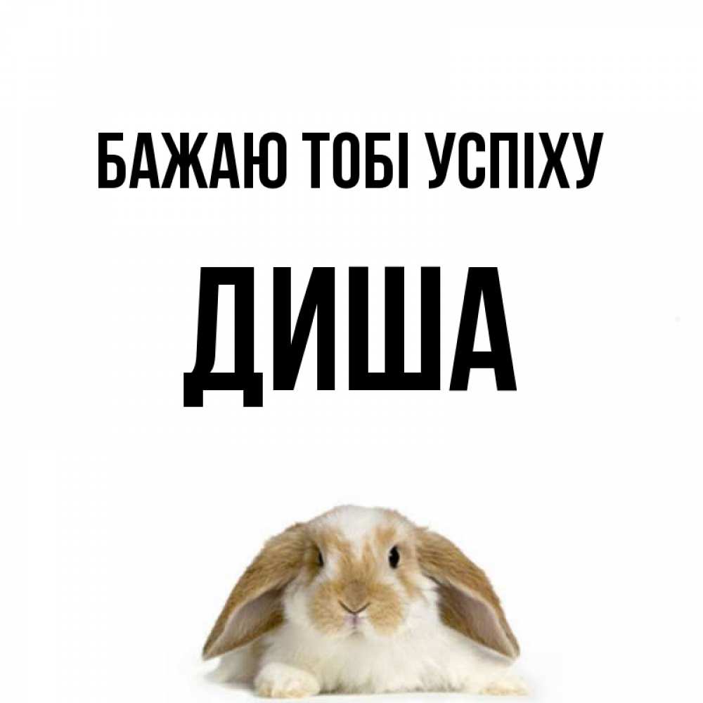 Открытка на каждый день з підписом, Диша Бажаю тобі успіху открытки с произвольным текстом который можно вставить в открытку и создать ее самостоятельно бесплатно онлайн Прикольна листівка з побажанням онлайн скачати безкоштовно 