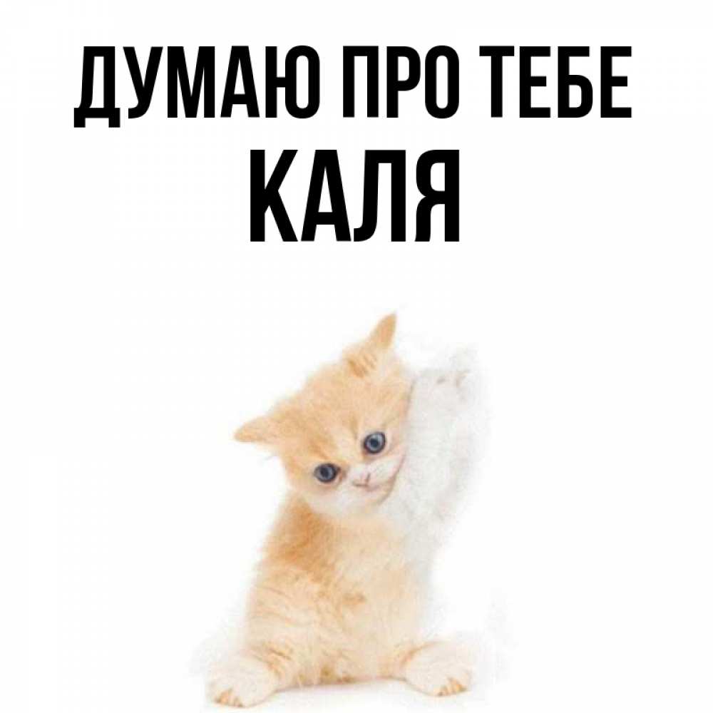 Открытка на каждый день з підписом, Каля Думаю про тебе зверушки и милота Прикольна листівка з побажанням онлайн скачати безкоштовно 