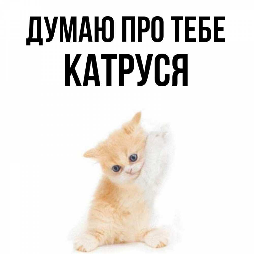 Открытка на каждый день з підписом, Катруся Думаю про тебе зверушки и милота Прикольна листівка з побажанням онлайн скачати безкоштовно 