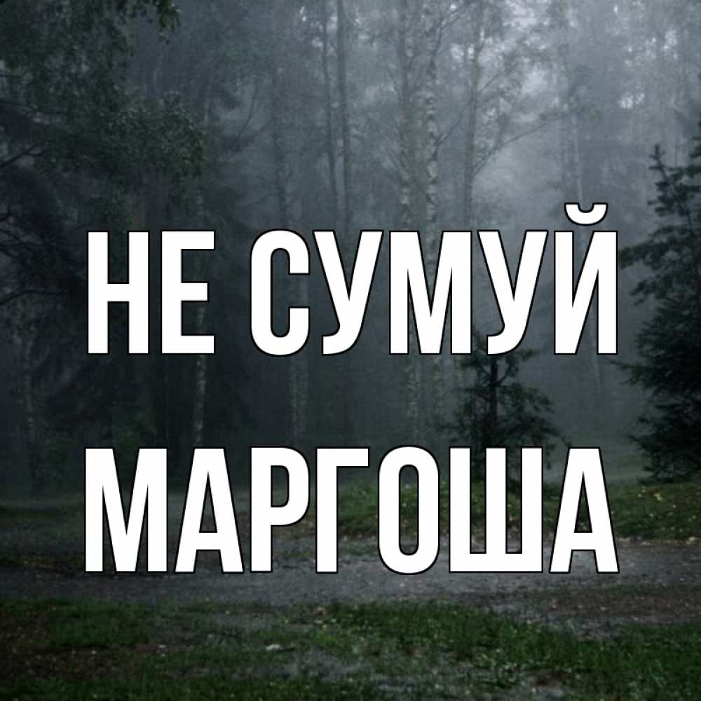 Открытка на каждый день з підписом, Маргоша Не сумуй осень Прикольна листівка з побажанням онлайн скачати безкоштовно 
