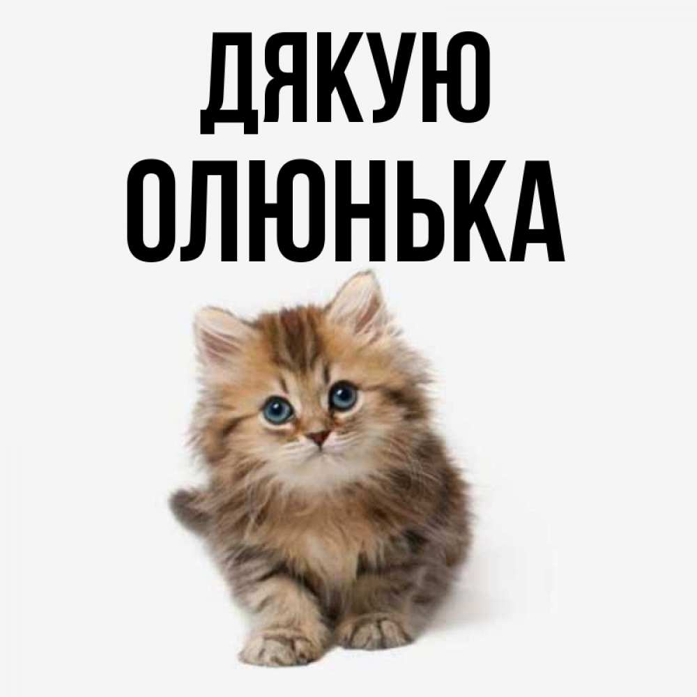 Открытка на каждый день з підписом, Олюнька Дякую пушистый котик Прикольна листівка з побажанням онлайн скачати безкоштовно 
