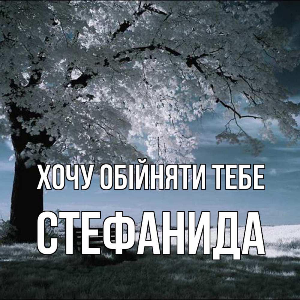 Открытка на каждый день з підписом, Стефанида Хочу обійняти тебе дерево Прикольна листівка з побажанням онлайн скачати безкоштовно 