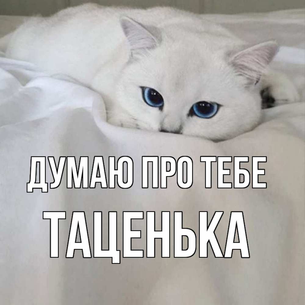 Открытка на каждый день з підписом, Таценька Думаю про тебе я очень по тебе скучаю и тоскую Прикольна листівка з побажанням онлайн скачати безкоштовно 