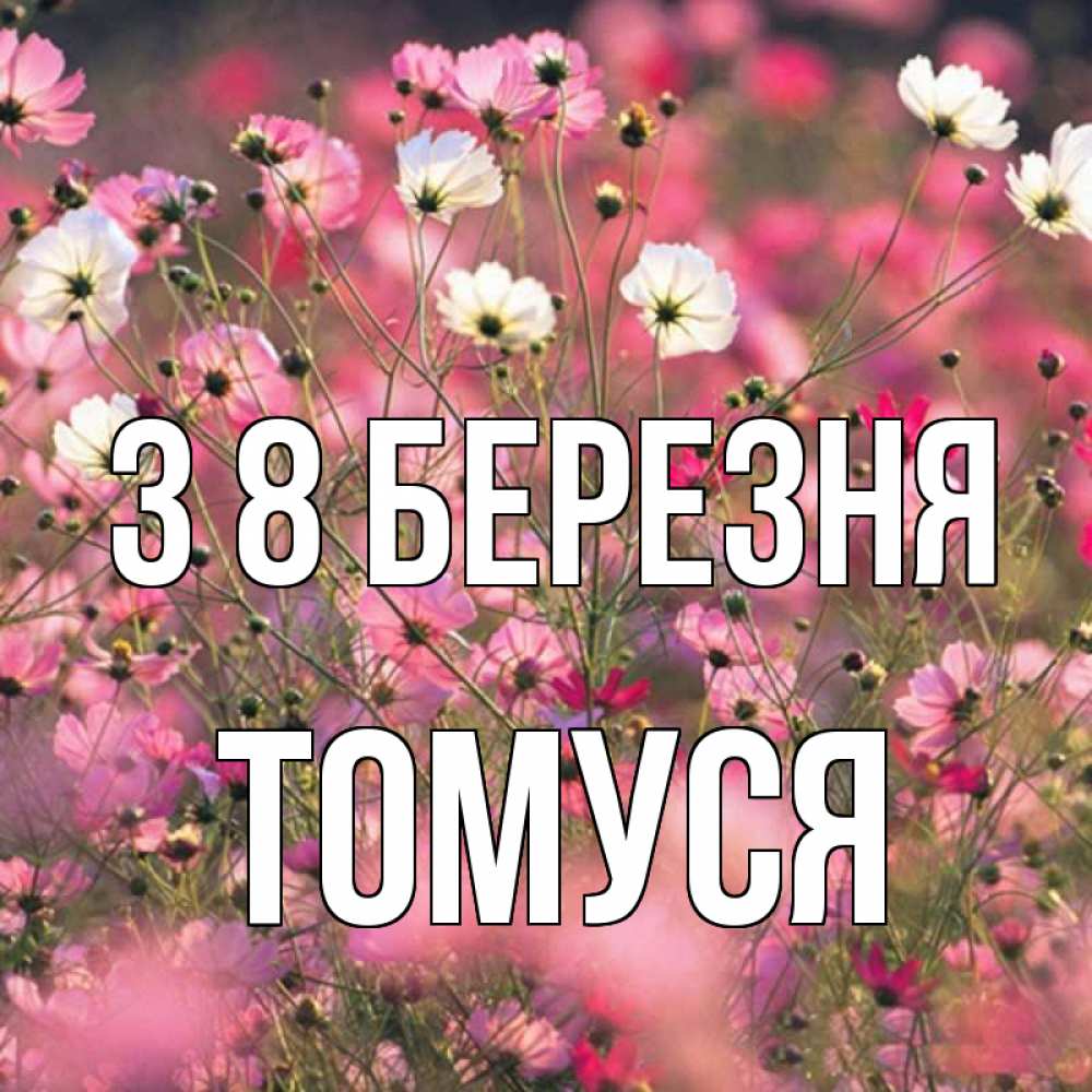 Открытка на каждый день з підписом, Томуся З 8 БЕРЕЗНЯ красиво 1 Прикольна листівка з побажанням онлайн скачати безкоштовно 