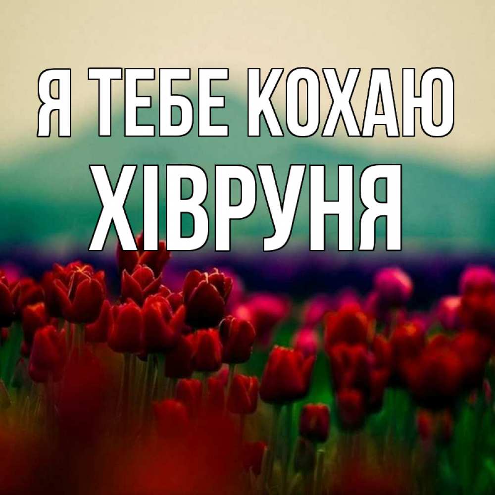Открытка на каждый день з підписом, Хівруня Я тебе кохаю тюльпаны 4 Прикольна листівка з побажанням онлайн скачати безкоштовно 