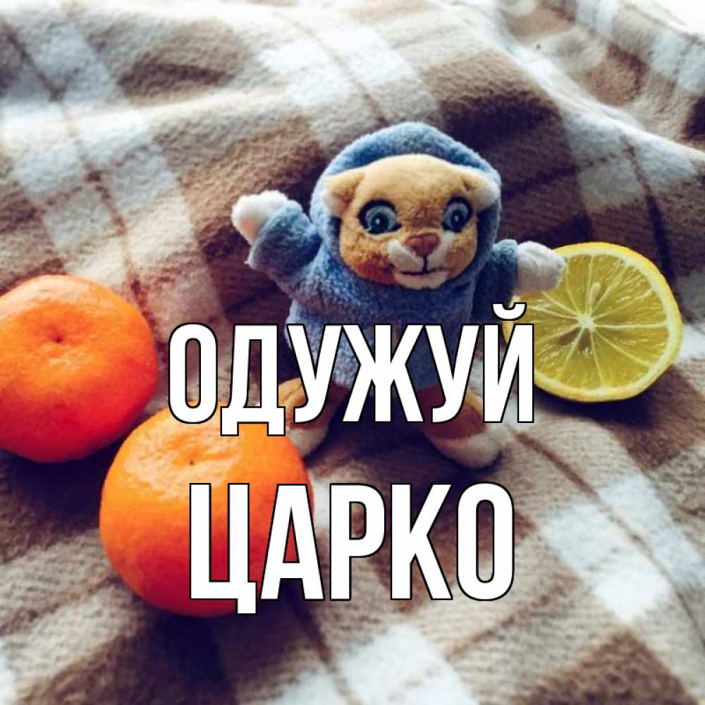 Открытка на каждый день з підписом, Царко Одужуй вот тебе апельсинка и лимон Прикольна листівка з побажанням онлайн скачати безкоштовно 