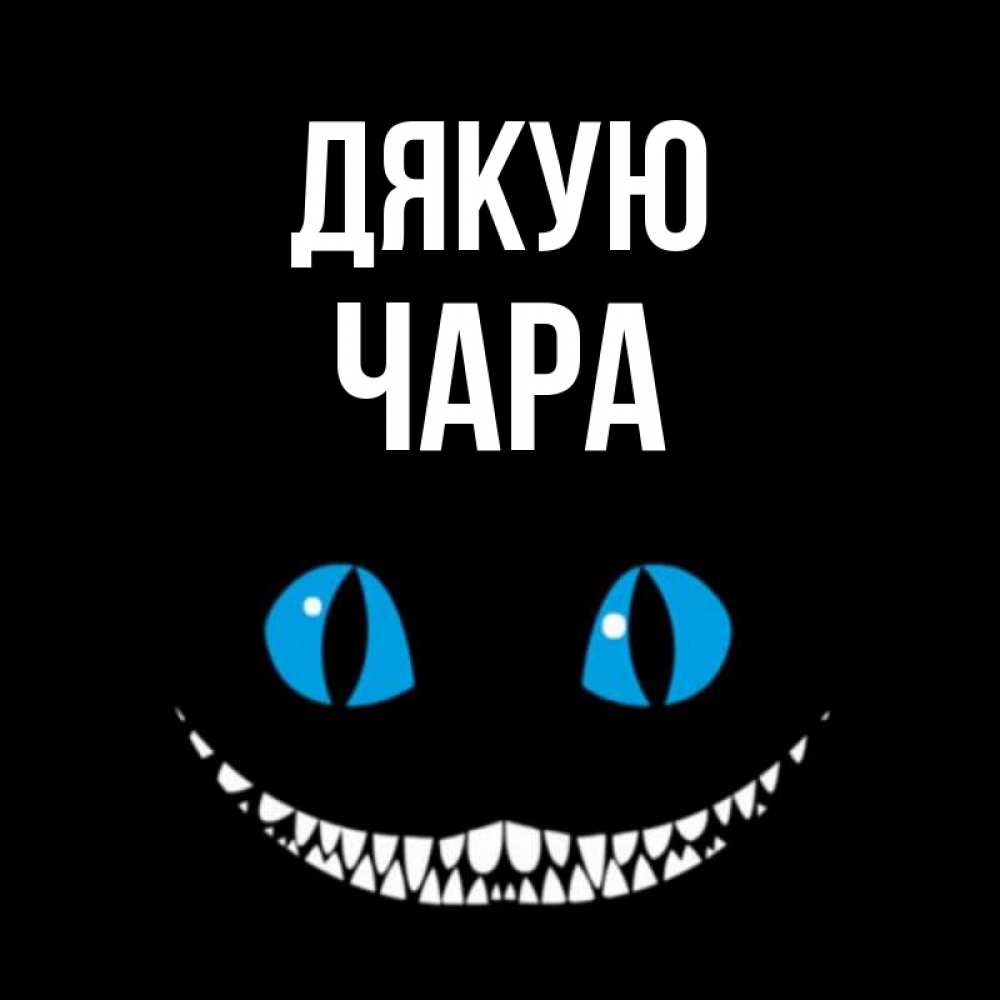 Открытка на каждый день з підписом, Чара Дякую благодарю от чеширика Прикольна листівка з побажанням онлайн скачати безкоштовно 