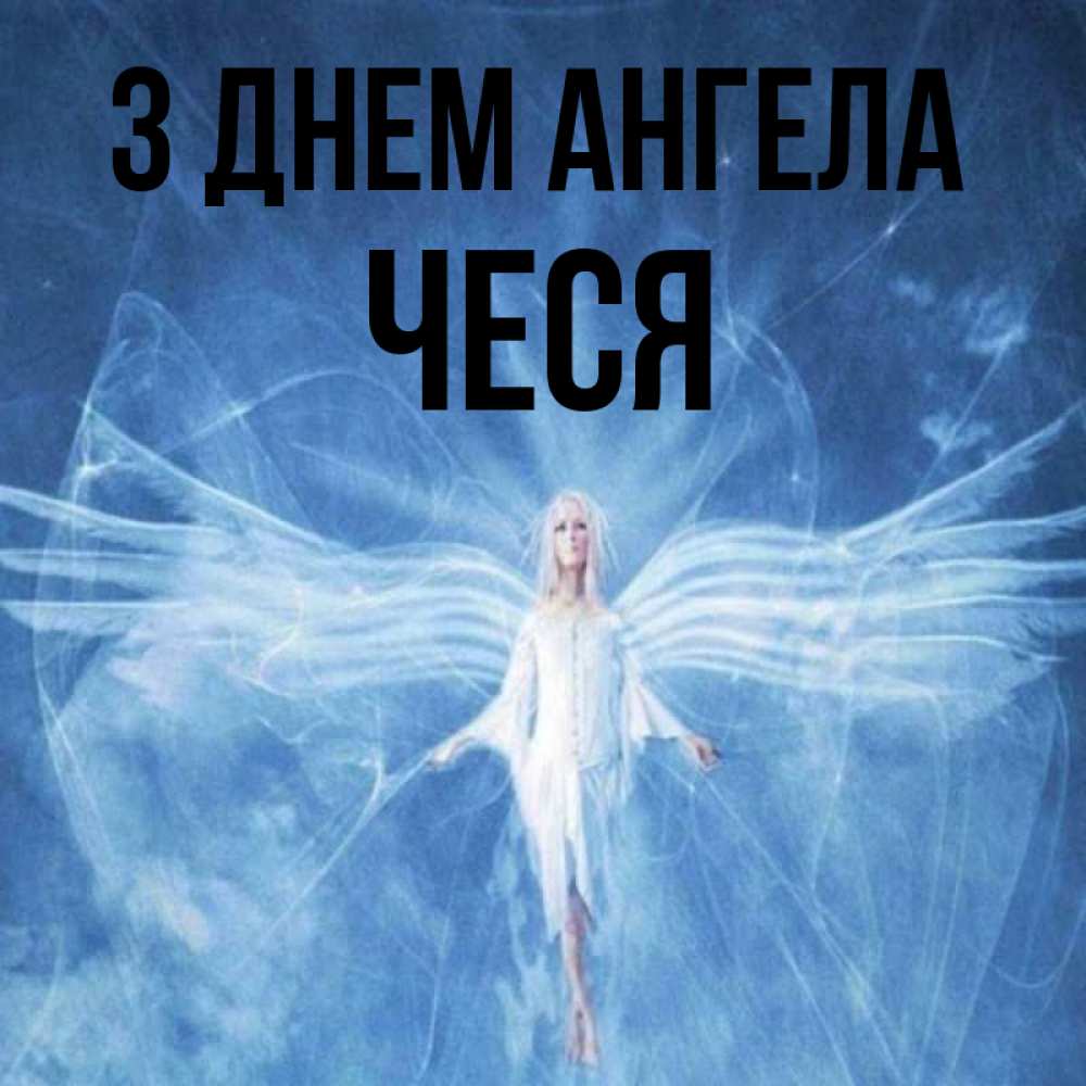 Открытка на каждый день з підписом, Чеся З Днем ангела голубой фон и крылья как у стрекозы Прикольна листівка з побажанням онлайн скачати безкоштовно 