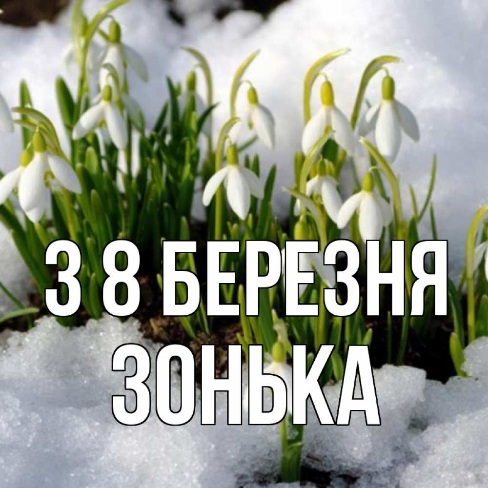 Открытка на каждый день з підписом, Зонька З 8 БЕРЕЗНЯ цветы весенние Прикольна листівка з побажанням онлайн скачати безкоштовно 