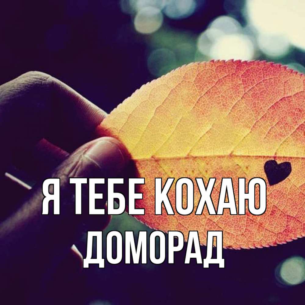 Открытка на каждый день з підписом, Доморад Я тебе кохаю держу лист Прикольна листівка з побажанням онлайн скачати безкоштовно 