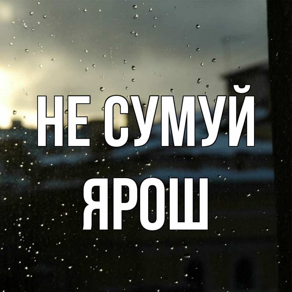 Открытка на каждый день з підписом, Ярош Не сумуй вид на крыши Прикольна листівка з побажанням онлайн скачати безкоштовно 