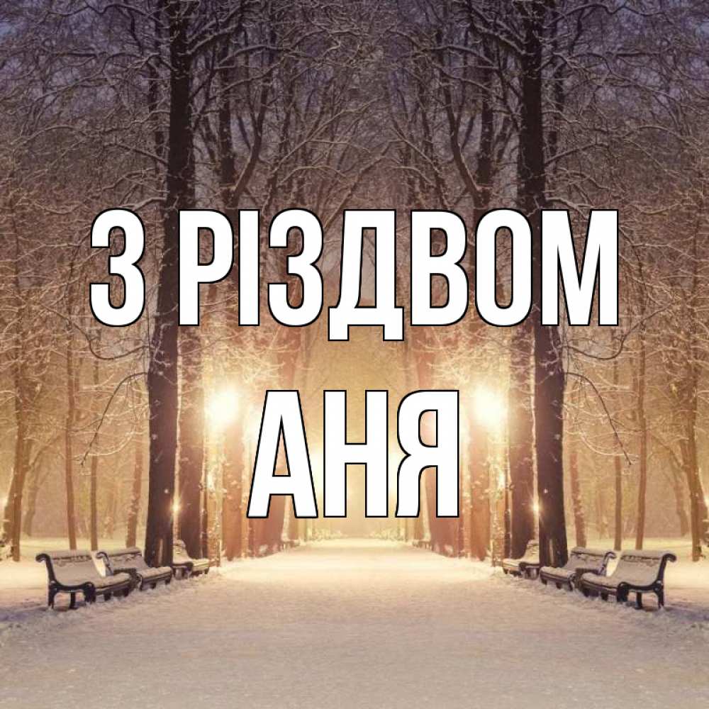Открытка на каждый день з підписом, Аня З Різдвом зима, парк, фонарь, лес Прикольна листівка з побажанням онлайн скачати безкоштовно 