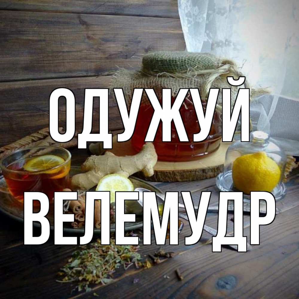 Открытка на каждый день з підписом, Велемудр Одужуй банка с медом Прикольна листівка з побажанням онлайн скачати безкоштовно 
