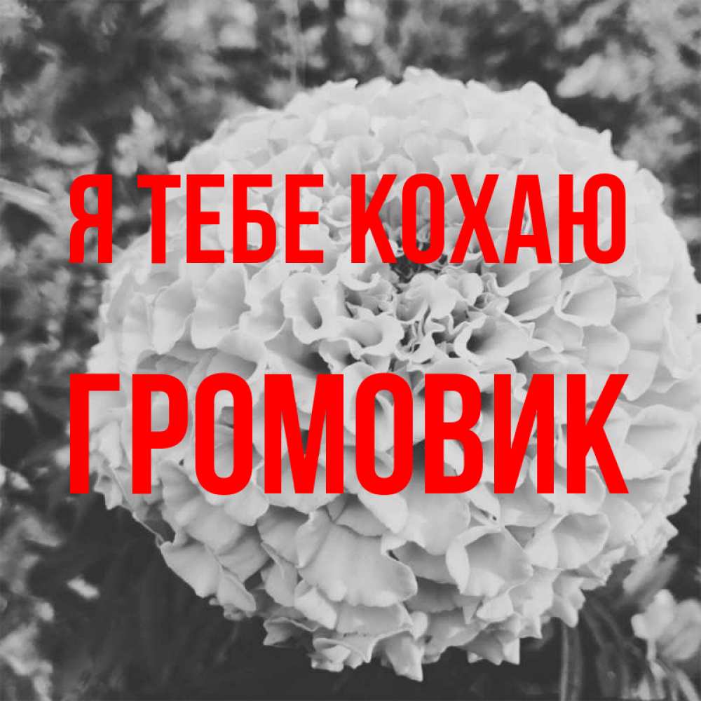 Открытка на каждый день з підписом, Громовик Я тебе кохаю подпись Прикольна листівка з побажанням онлайн скачати безкоштовно 