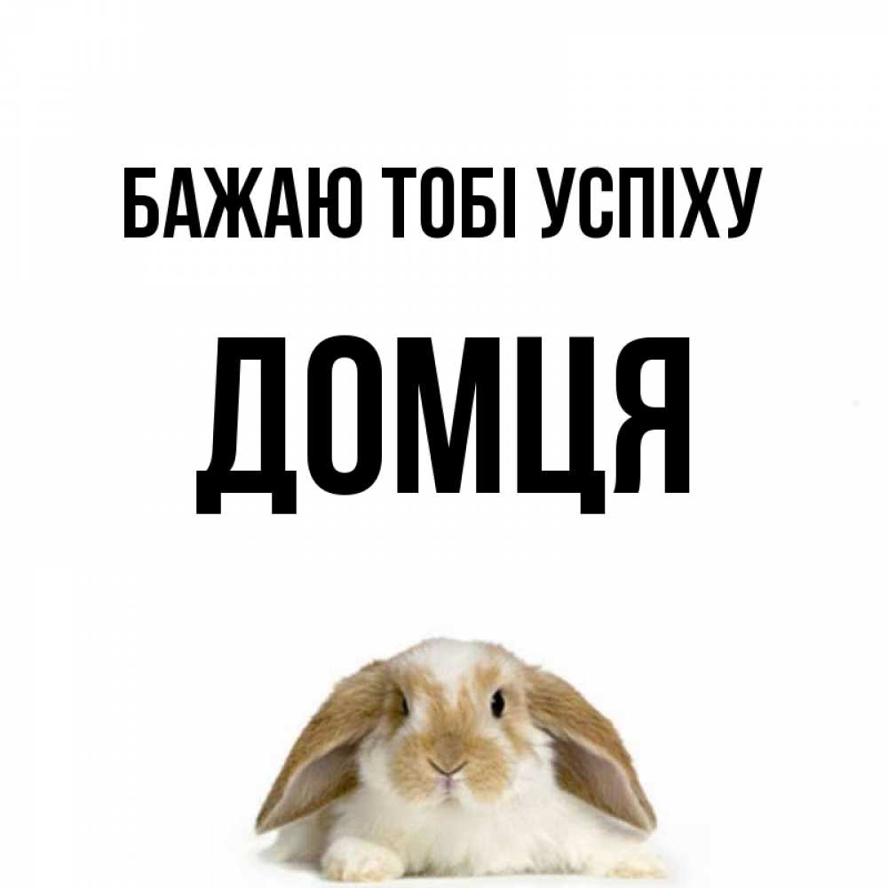 Открытка на каждый день з підписом, Домця Бажаю тобі успіху открытки с произвольным текстом который можно вставить в открытку и создать ее самостоятельно бесплатно онлайн Прикольна листівка з побажанням онлайн скачати безкоштовно 