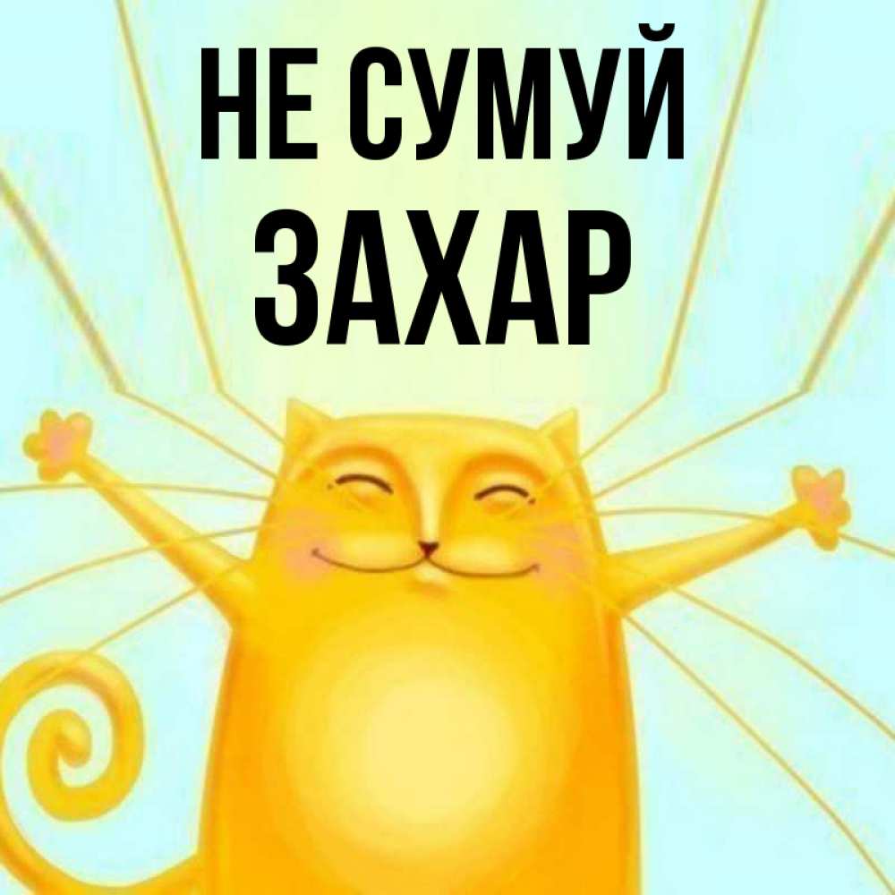 Открытка на каждый день з підписом, Захар Не сумуй обнимашки усатые Прикольна листівка з побажанням онлайн скачати безкоштовно 