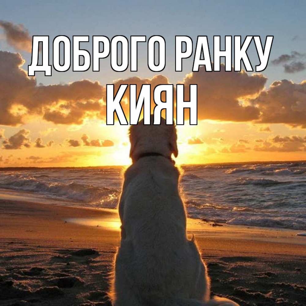 Открытка на каждый день з підписом, Киян Доброго ранку восход солнца Прикольна листівка з побажанням онлайн скачати безкоштовно 