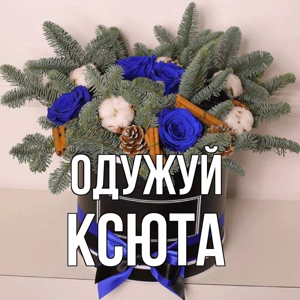 Открытка на каждый день з підписом, Ксюта Одужуй короче кто то загрузил эти шишки Прикольна листівка з побажанням онлайн скачати безкоштовно 