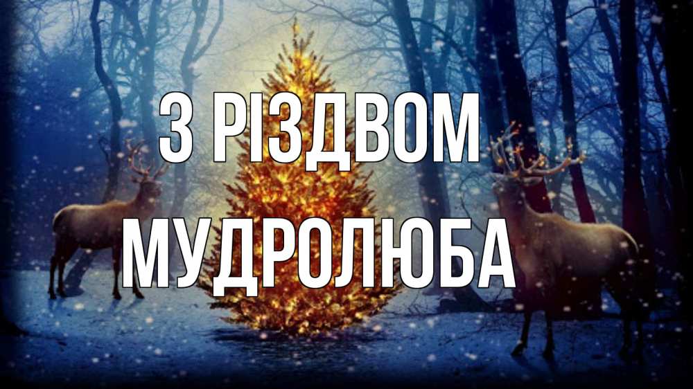Открытка на каждый день з підписом, Мудролюба З Різдвом олени, новогодняя елка Прикольна листівка з побажанням онлайн скачати безкоштовно 