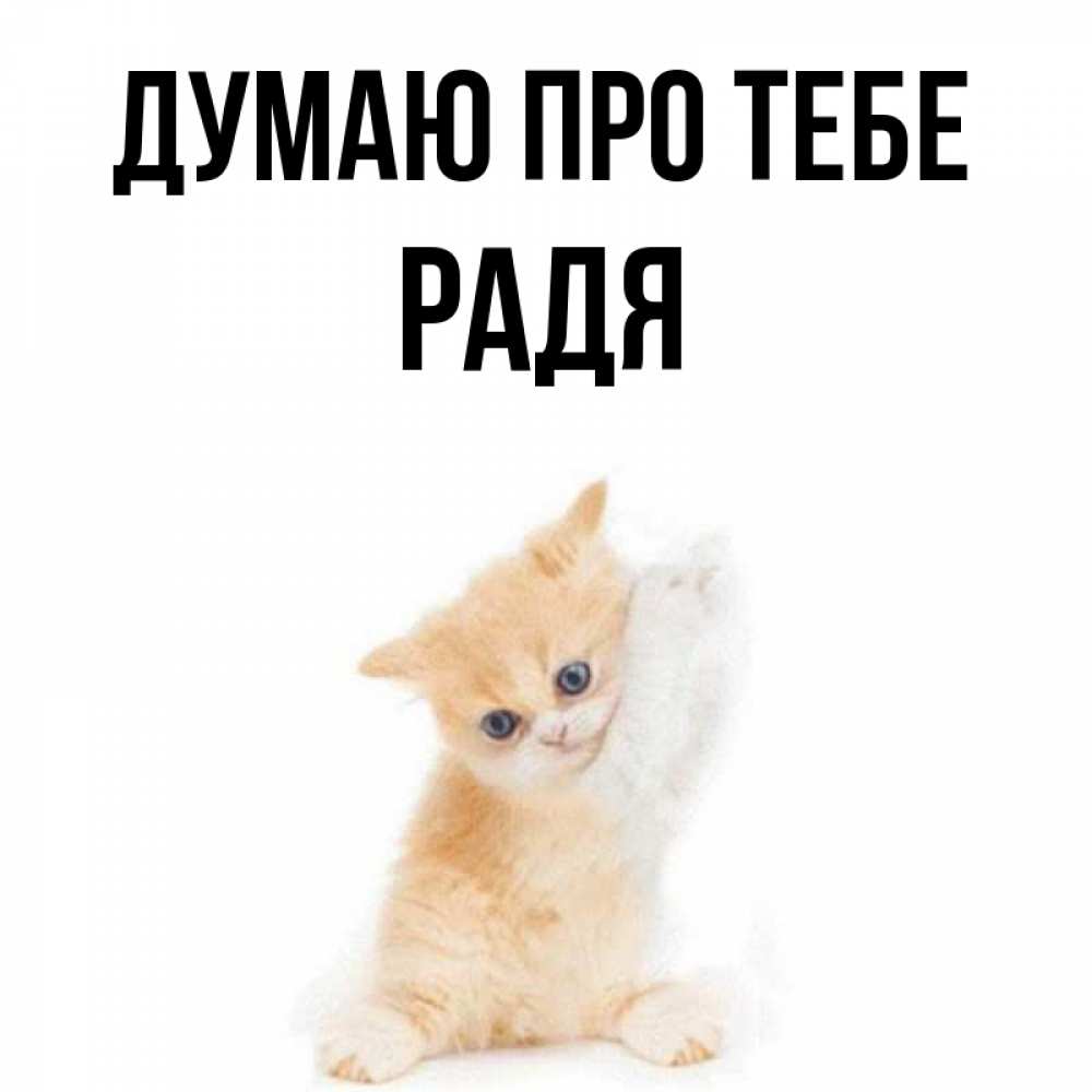 Открытка на каждый день з підписом, Радя Думаю про тебе зверушки и милота Прикольна листівка з побажанням онлайн скачати безкоштовно 