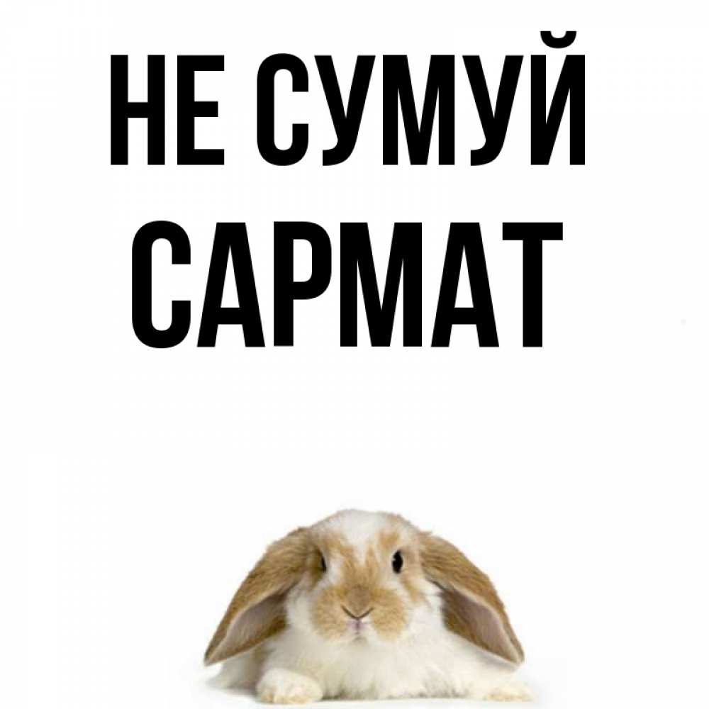 Открытка на каждый день з підписом, Сармат Не сумуй коричнево белый заяц с большими ушками Прикольна листівка з побажанням онлайн скачати безкоштовно 