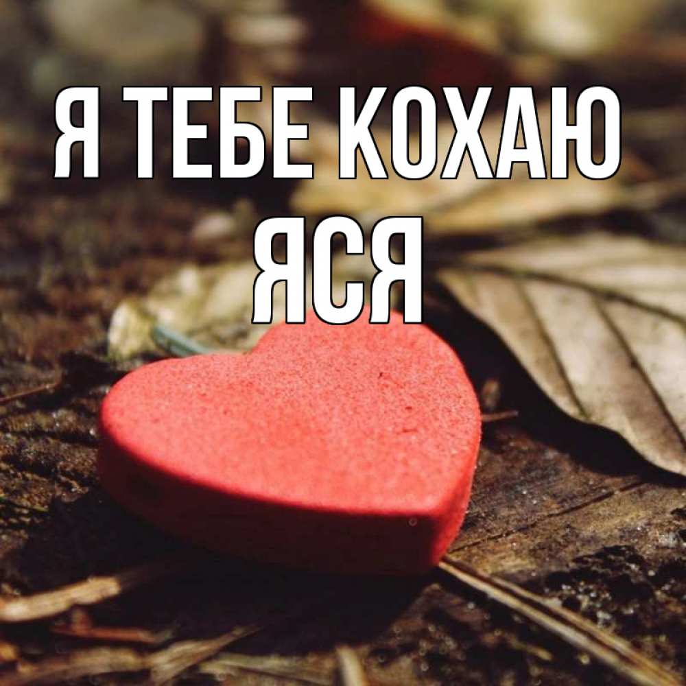 Открытка на каждый день з підписом, Яся Я тебе кохаю листья деревье 4 Прикольна листівка з побажанням онлайн скачати безкоштовно 
