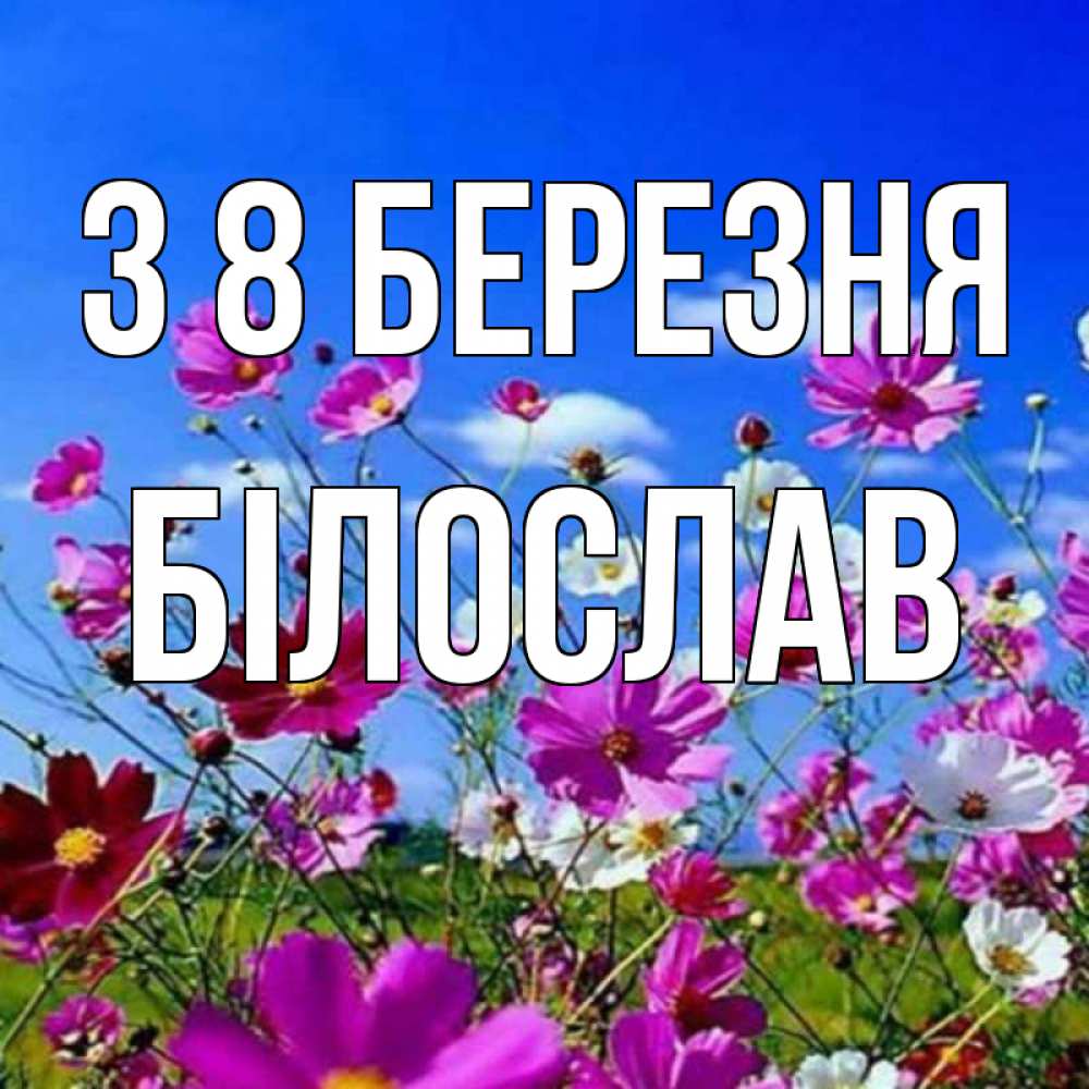 Открытка на каждый день з підписом, Білослав З 8 БЕРЕЗНЯ цветы Прикольна листівка з побажанням онлайн скачати безкоштовно 