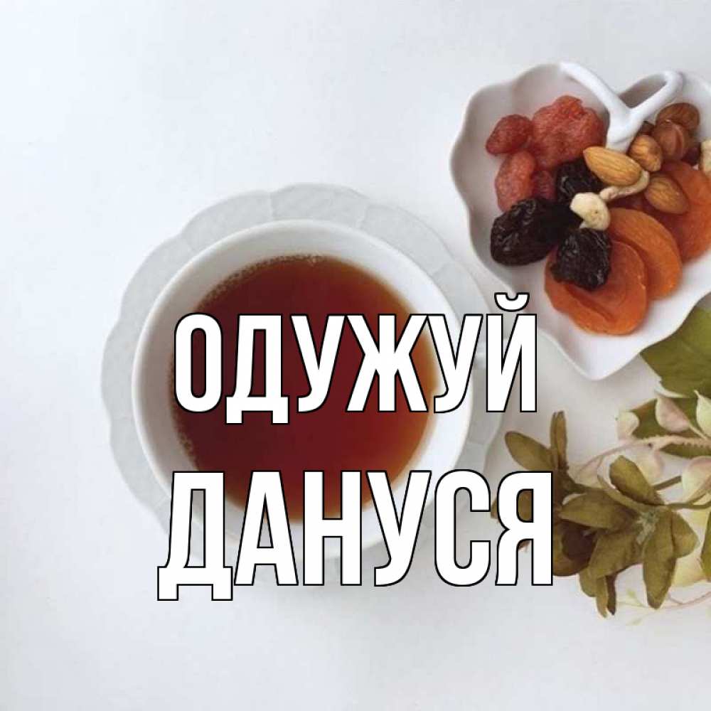 Открытка на каждый день з підписом, Дануся Одужуй неизвестные растения Прикольна листівка з побажанням онлайн скачати безкоштовно 